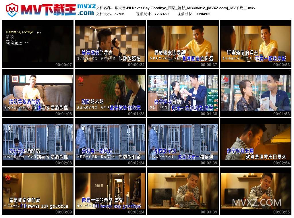 陈大智-I'll Never Say Goodbye_国语_流行_MB306012